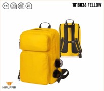 1818036 PLECAK HALFAR FELLOW